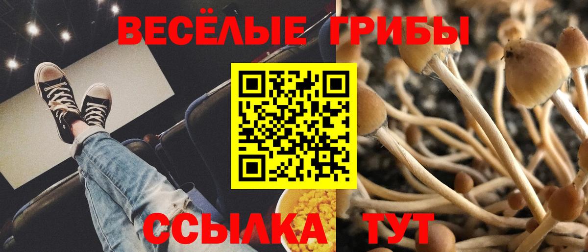 Галлюциногенные грибы мицелий Каспийск